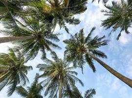 Palm Tree Day