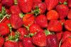 California Strawberry Day
