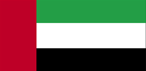 United Arab Emirates National Day flag