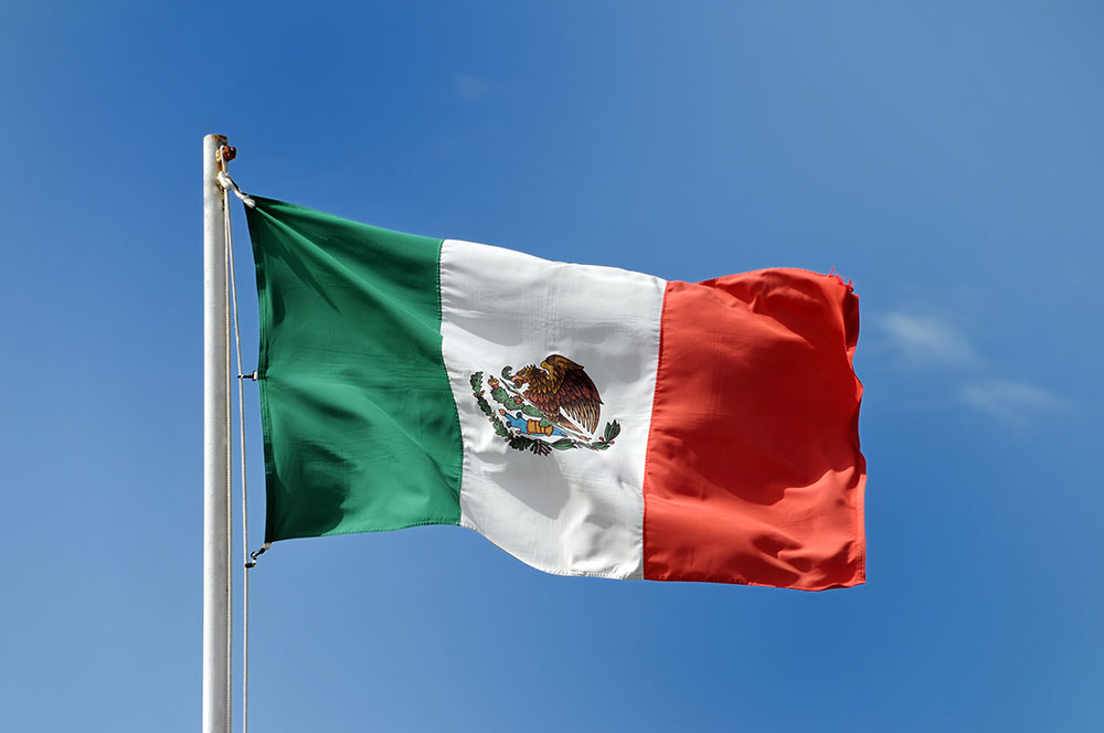 Constitution Day Mexico Flag