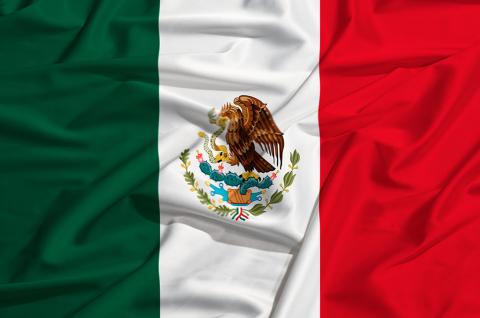 Flag Day Mexico
