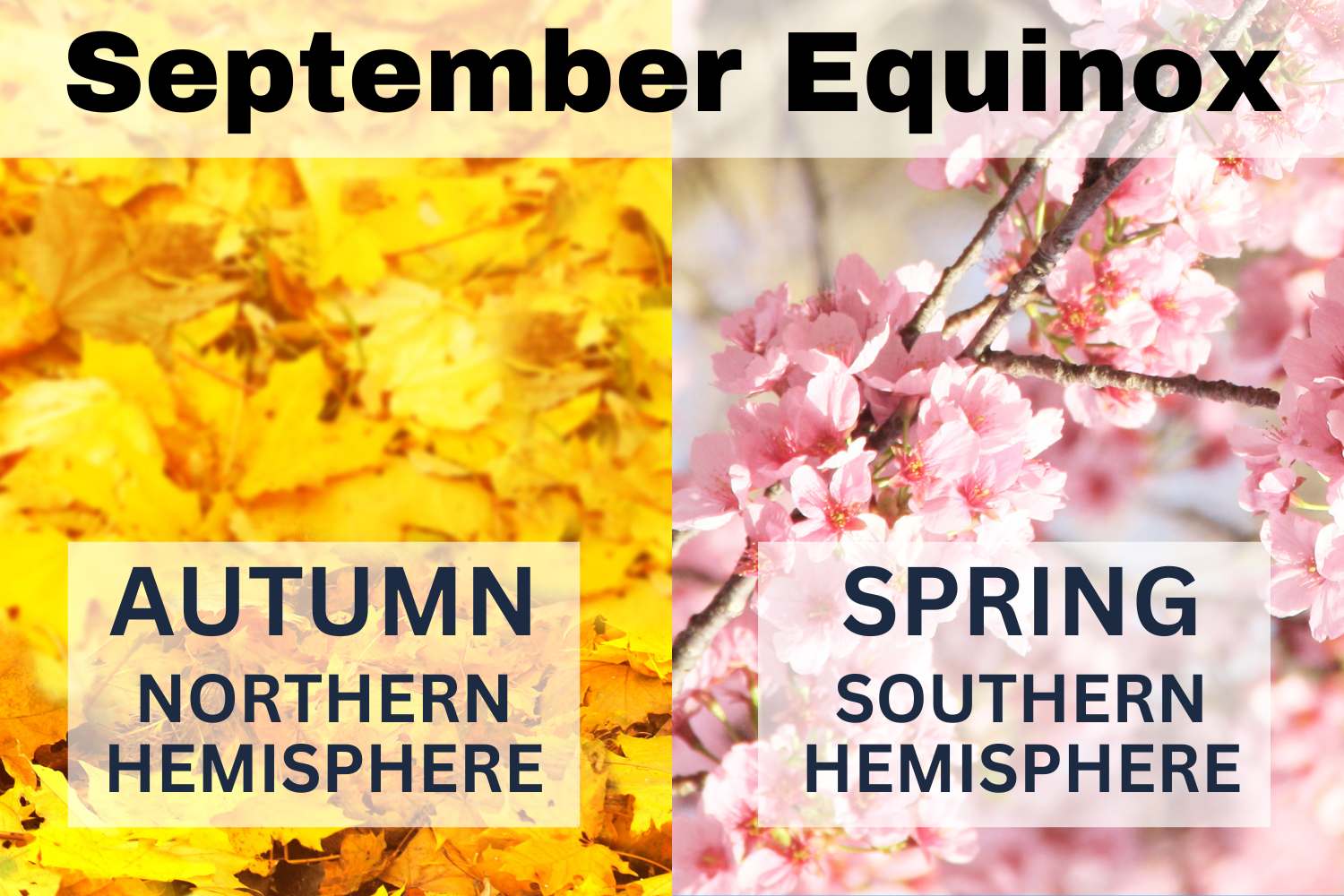 September Equinox