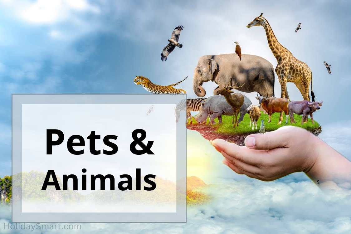 Animals & Pets holidays