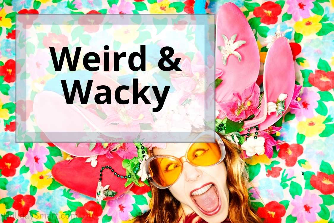 Weird and Wacky holidays
