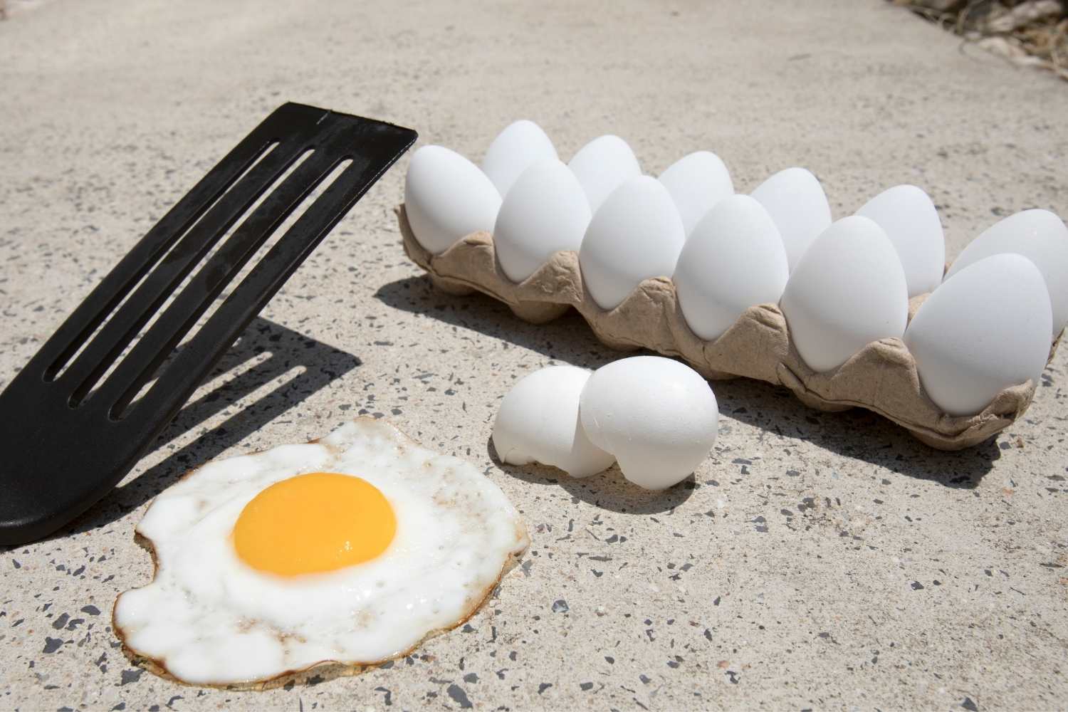 Sidewalk Egg Frying Day