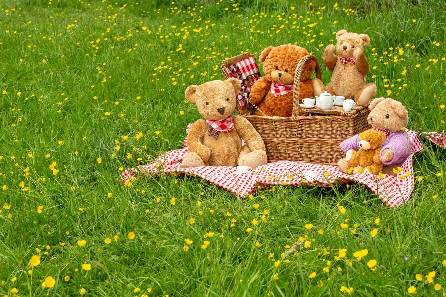 Teddy Bear Picnic Day