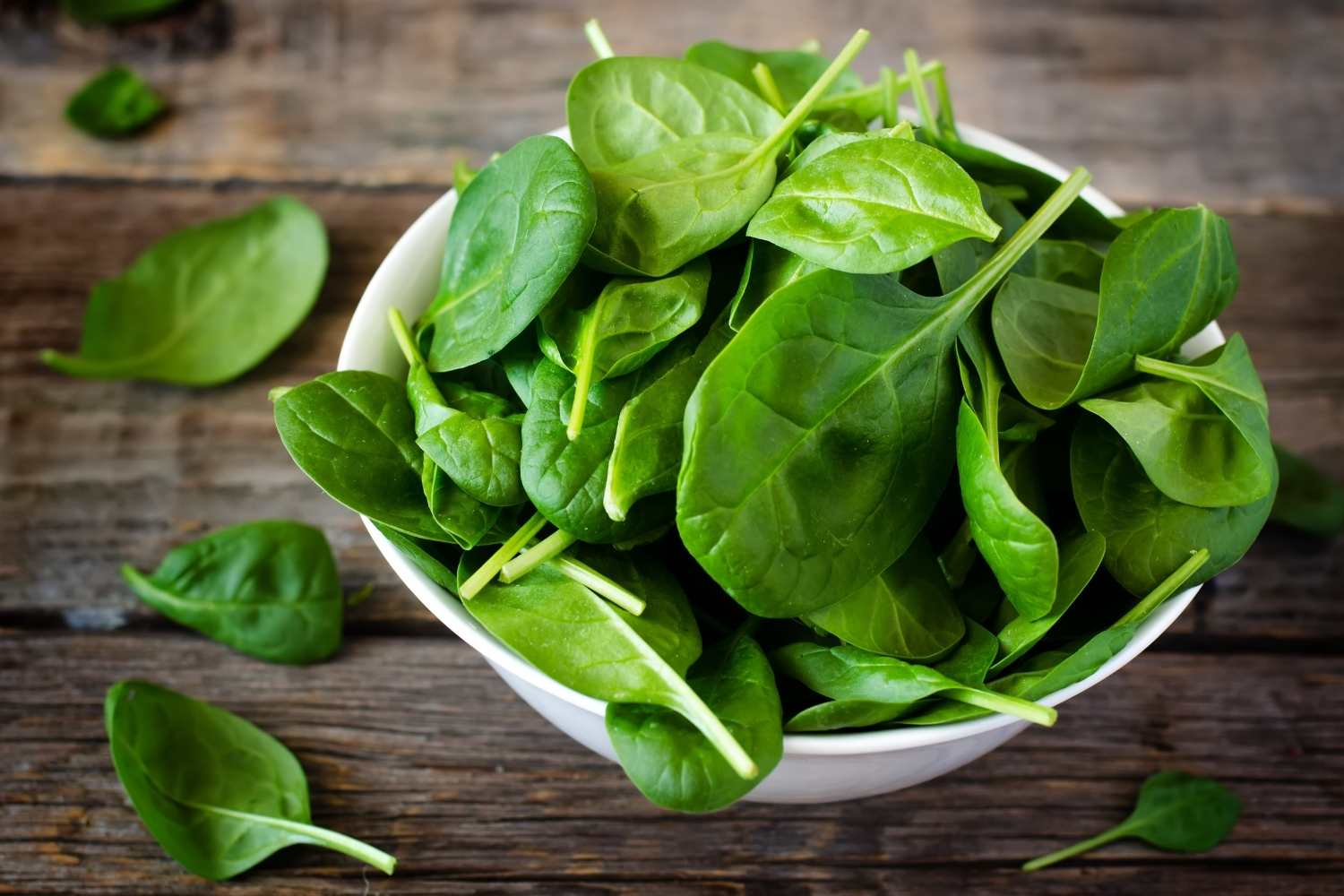 Fresh Spinach Day