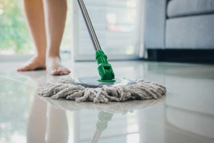 Clean Your Floors Day