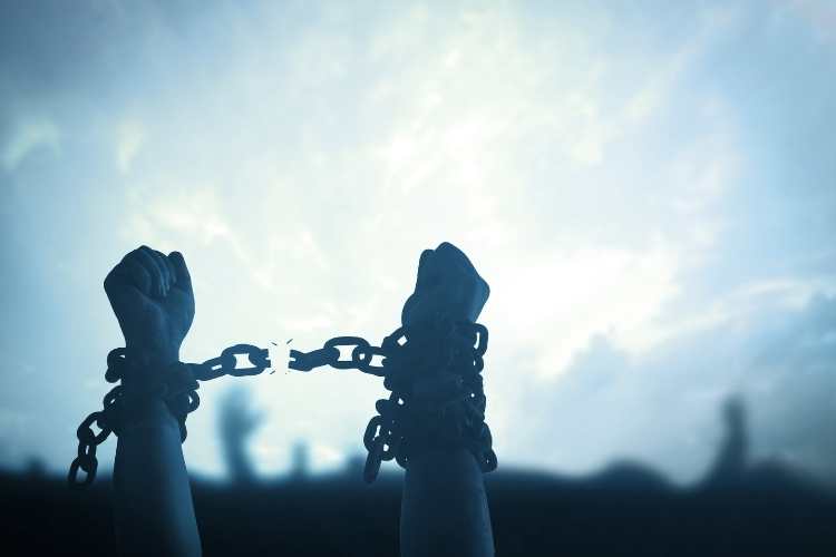 International Day for the Remembrance of the Slave Trade and its Abolition