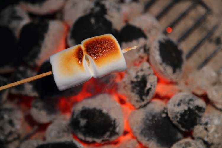 Toasted Marshmallow Day