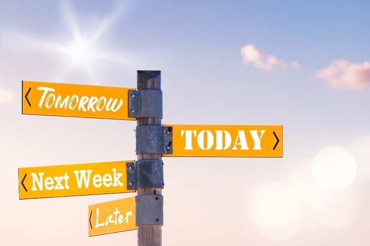 Fight Procrastination Day