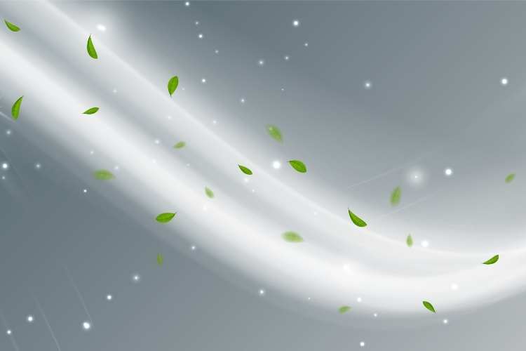 International Day of Clean Air