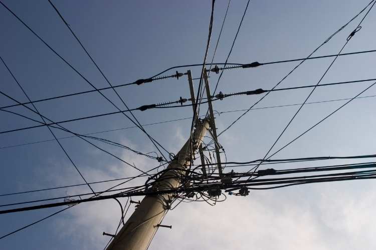 Telegraph Pole Appreciation Day