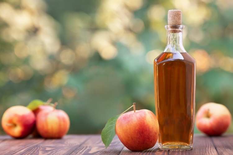 Apple Cider Vinegar Day