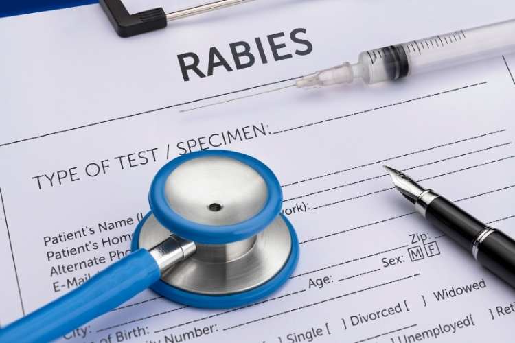 World Rabies Day