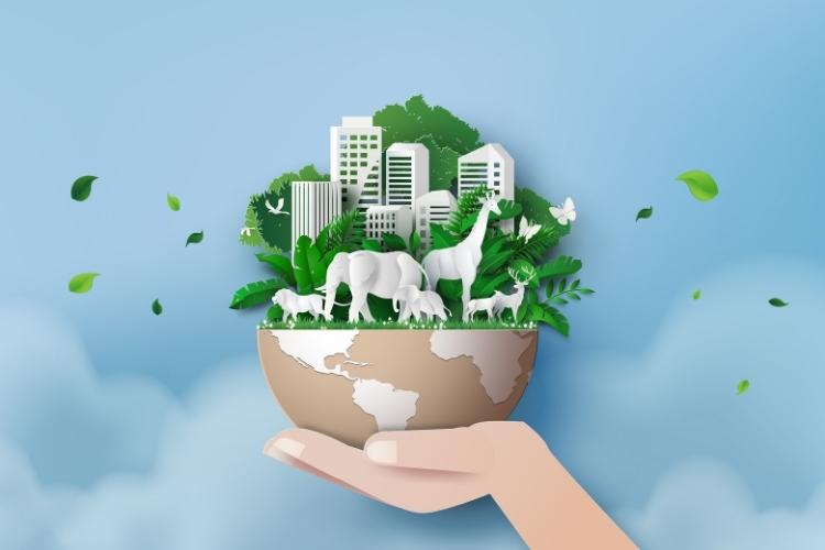 National Wildlife Ecology Day