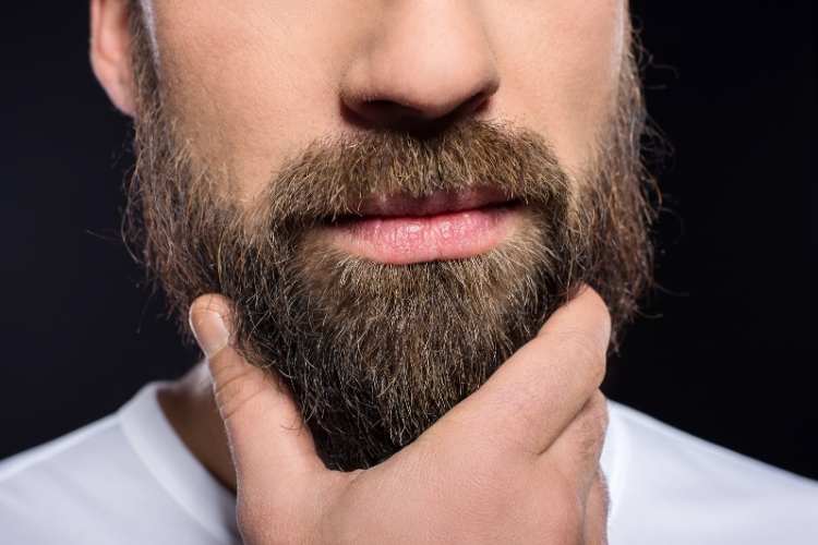 World Beard Day