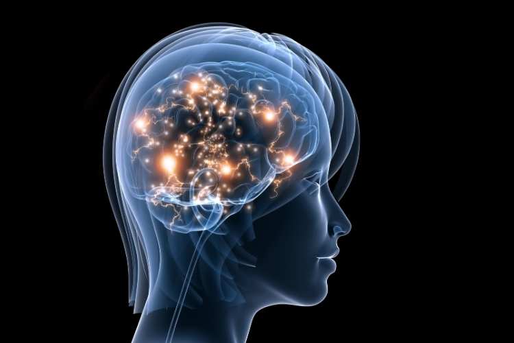 Train Your Brain Day