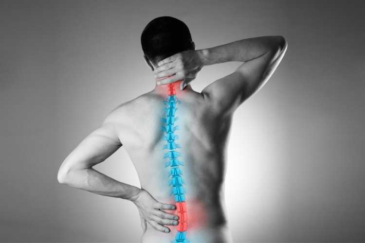 World Spine Day