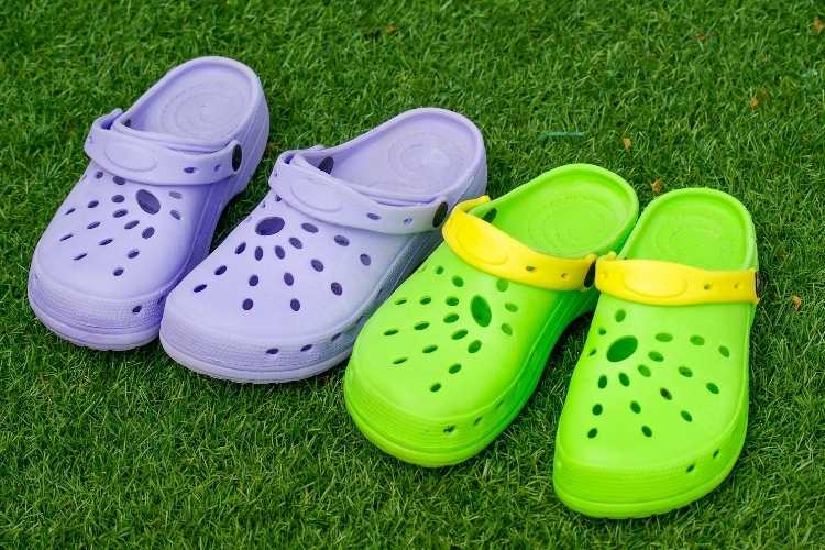 Croc Day