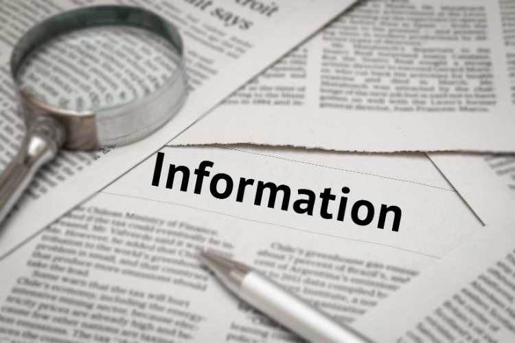 World Development Information Day