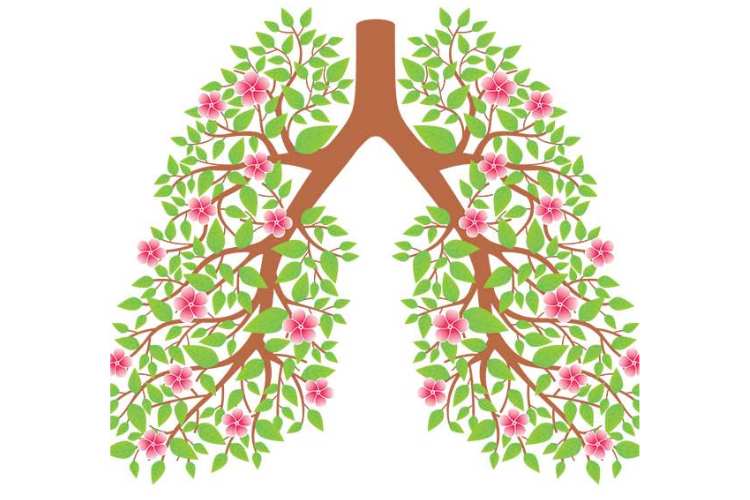 Lung Health Day