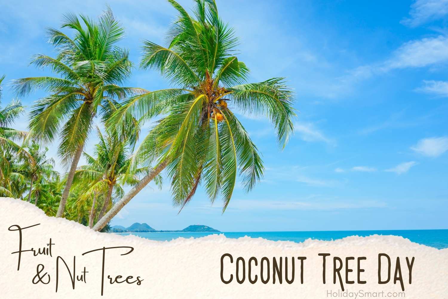 Coconut Tree Day