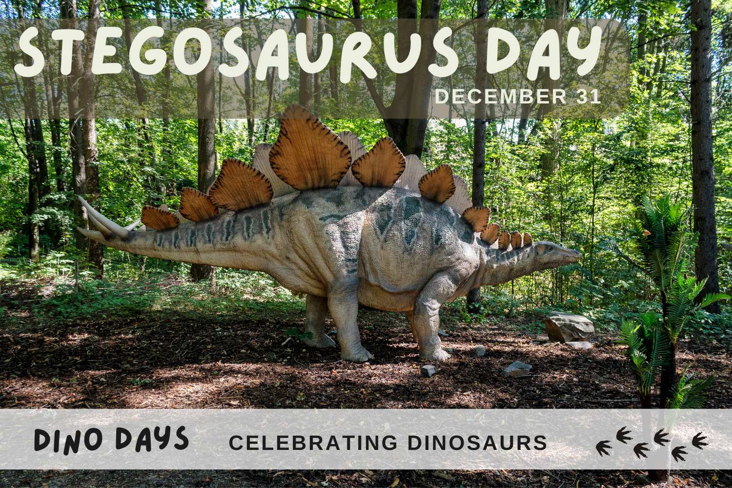 Stegosaurus Day