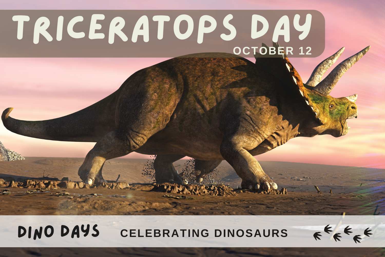Triceratops Day