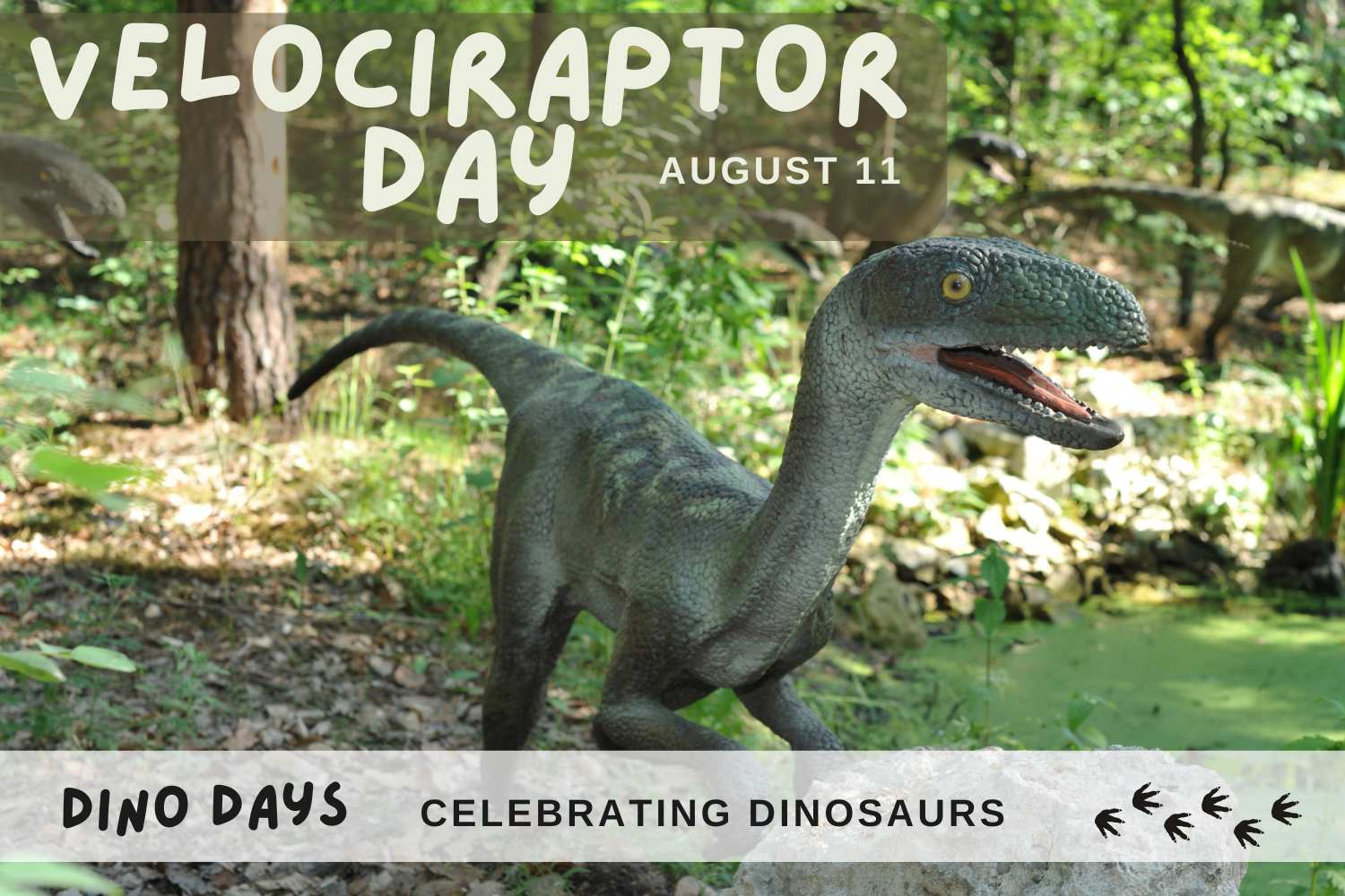 Velociraptor Day