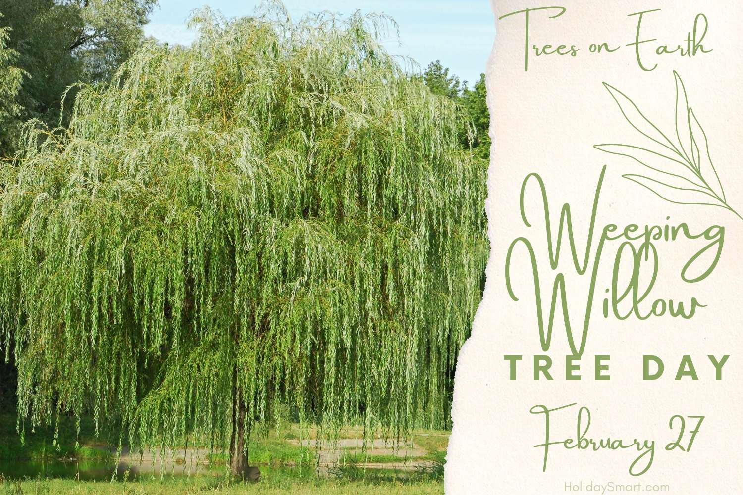 Weeping Willow Tree Day