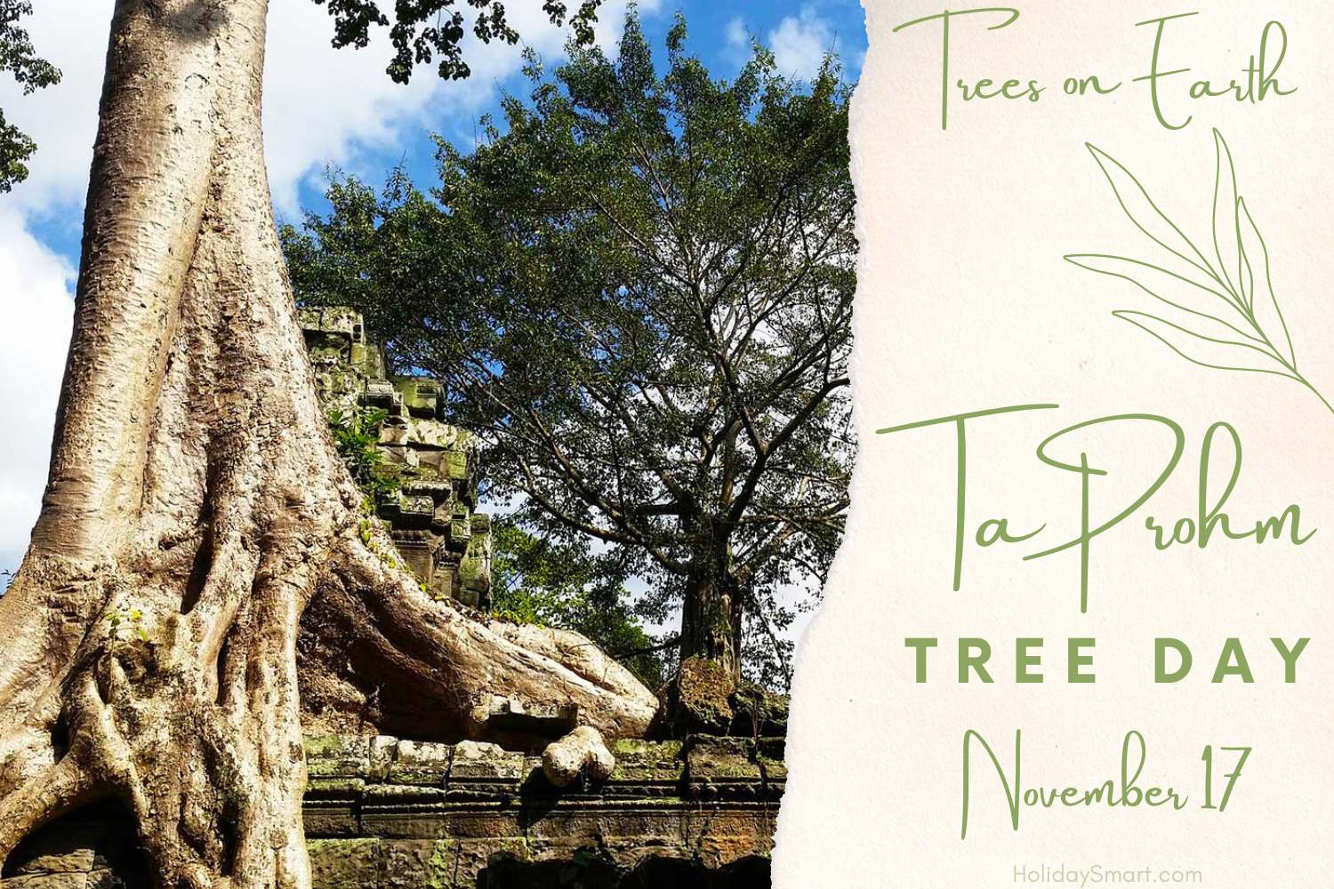 Ta Prohm Tree Day