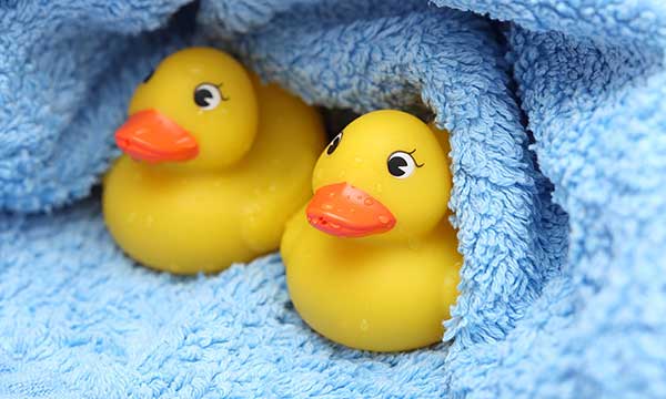 National Rubber Ducky Day, Holiday