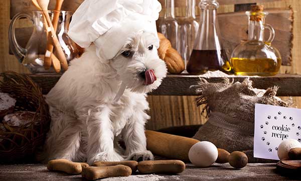 National Cook For Your Pets Day