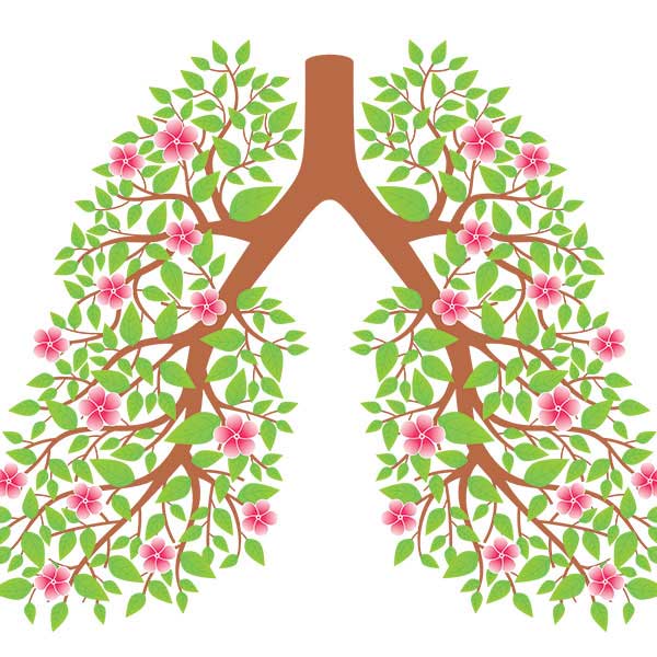 Lung Health Day