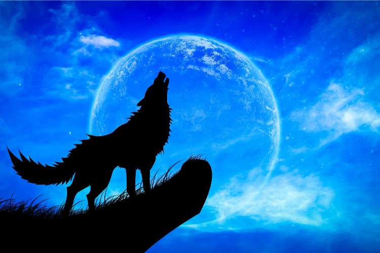 January Wolf Moon