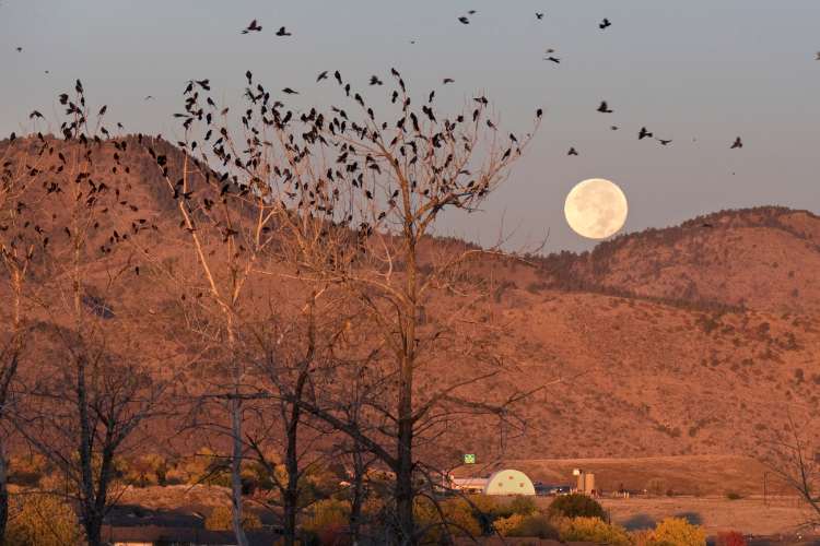 October Hunter's Moon