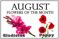 August Flowers
