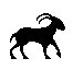 Capricorn Goat Sign