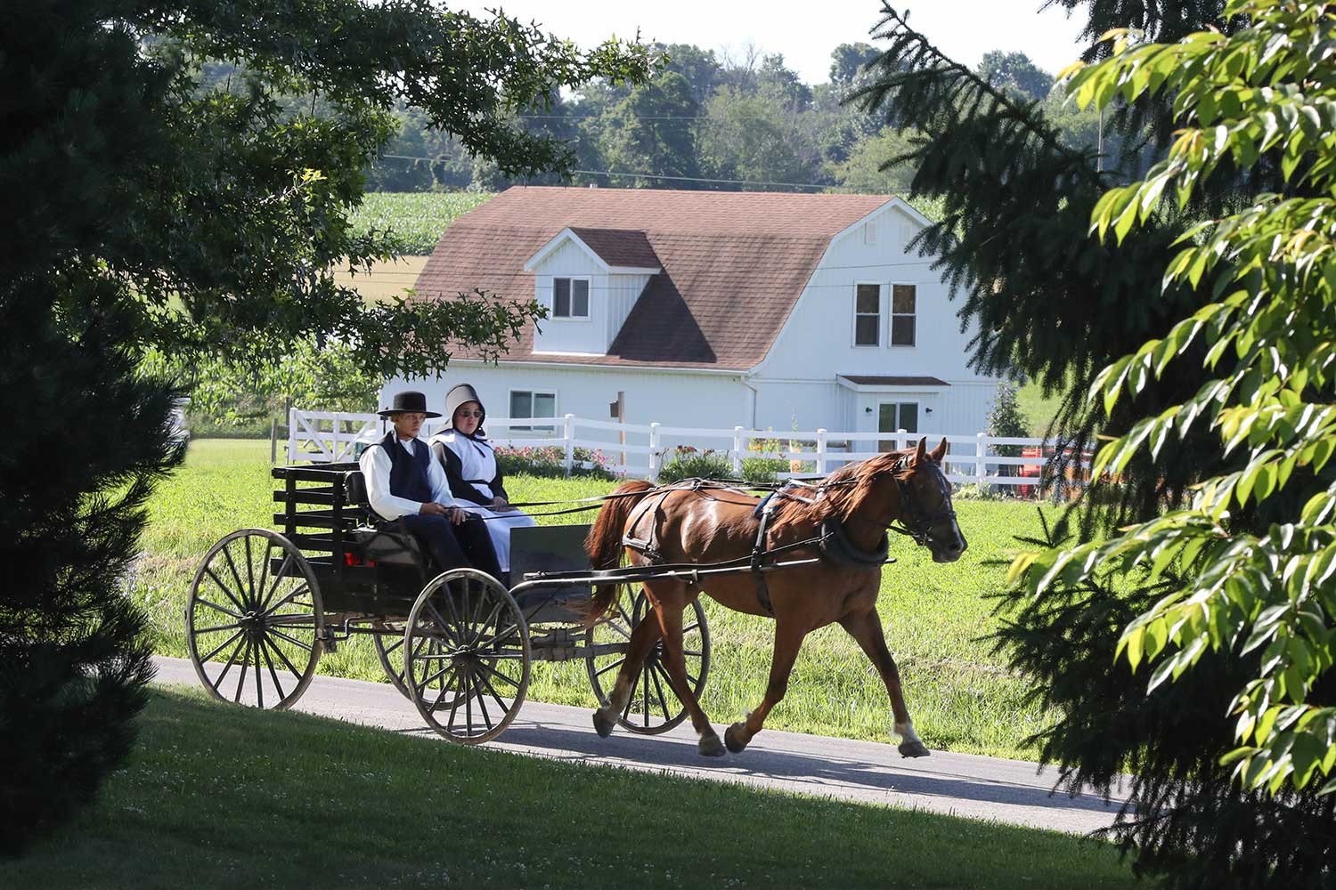 Do Amish Families Celebrate Christmas