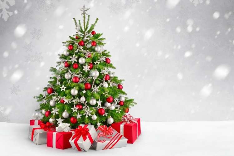 Christmas Tree Traditions