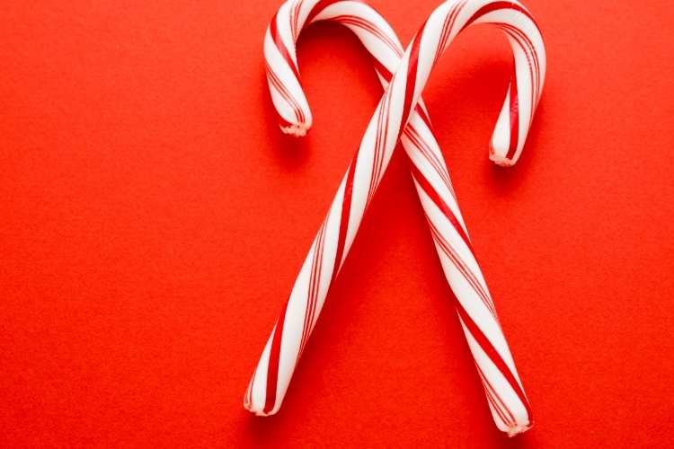 Christmas Traditions Candy Canes
