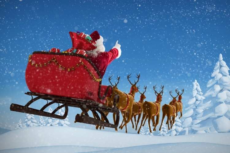 Christmas Traditions Reindeer & Sleigh