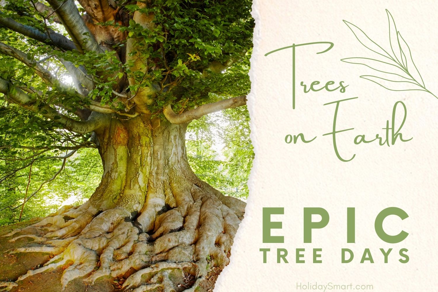 Epic Tree Days