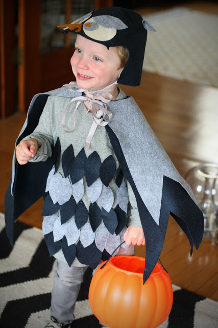 18 DIY Animal Halloween Costumes for Kids