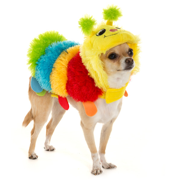 caterpillar costume