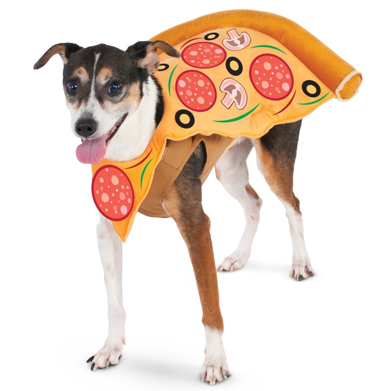 Pizza costume