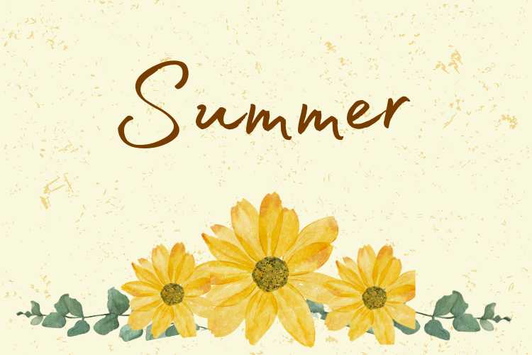 Summer - June Solstice in the Northern Hemisphere