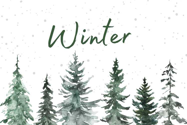 Winter - June Solstice in the Southern Hemisphere