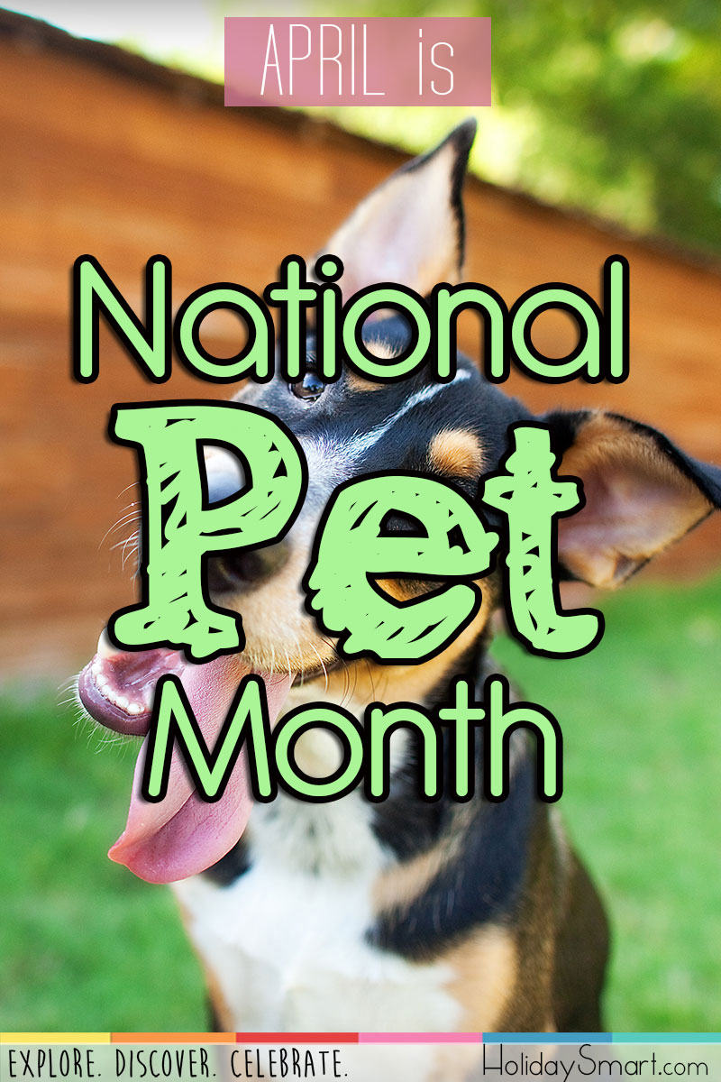Pet Month Holiday Smart